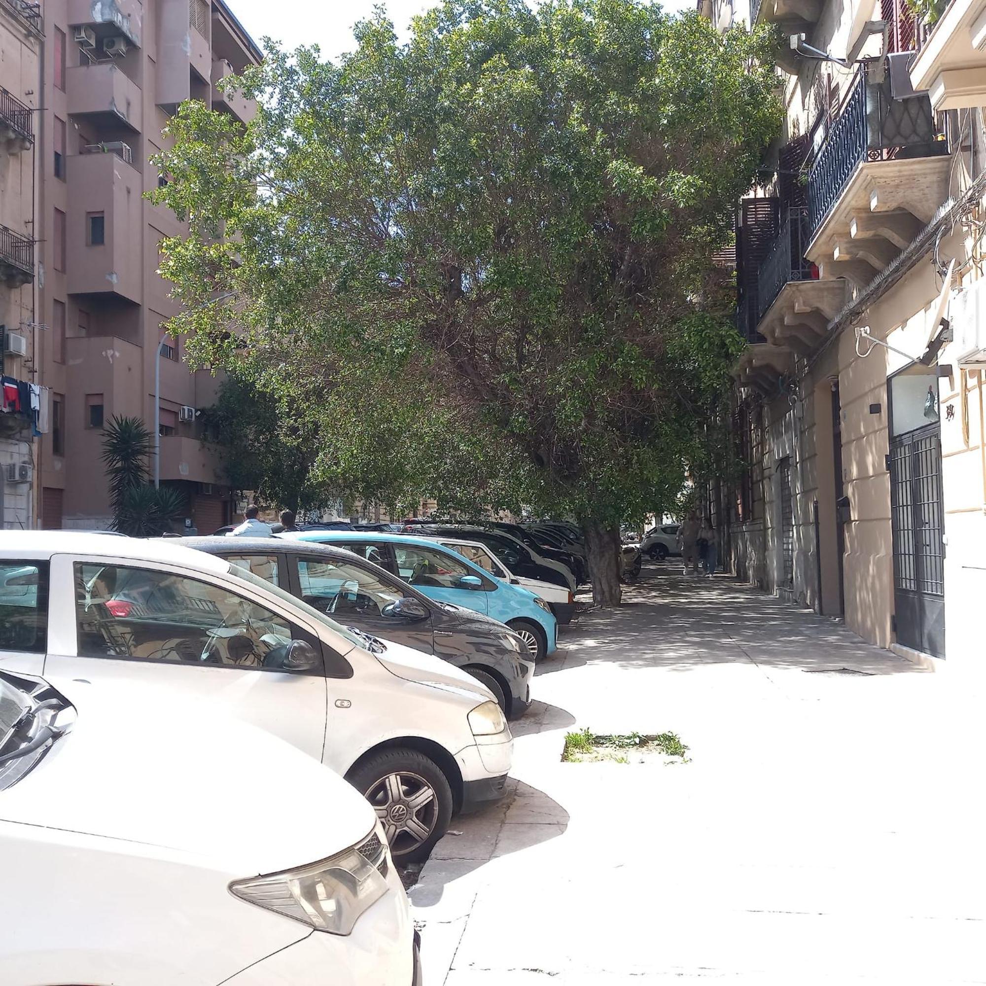 A Casa Di Lori Daire Palermo Dış mekan fotoğraf