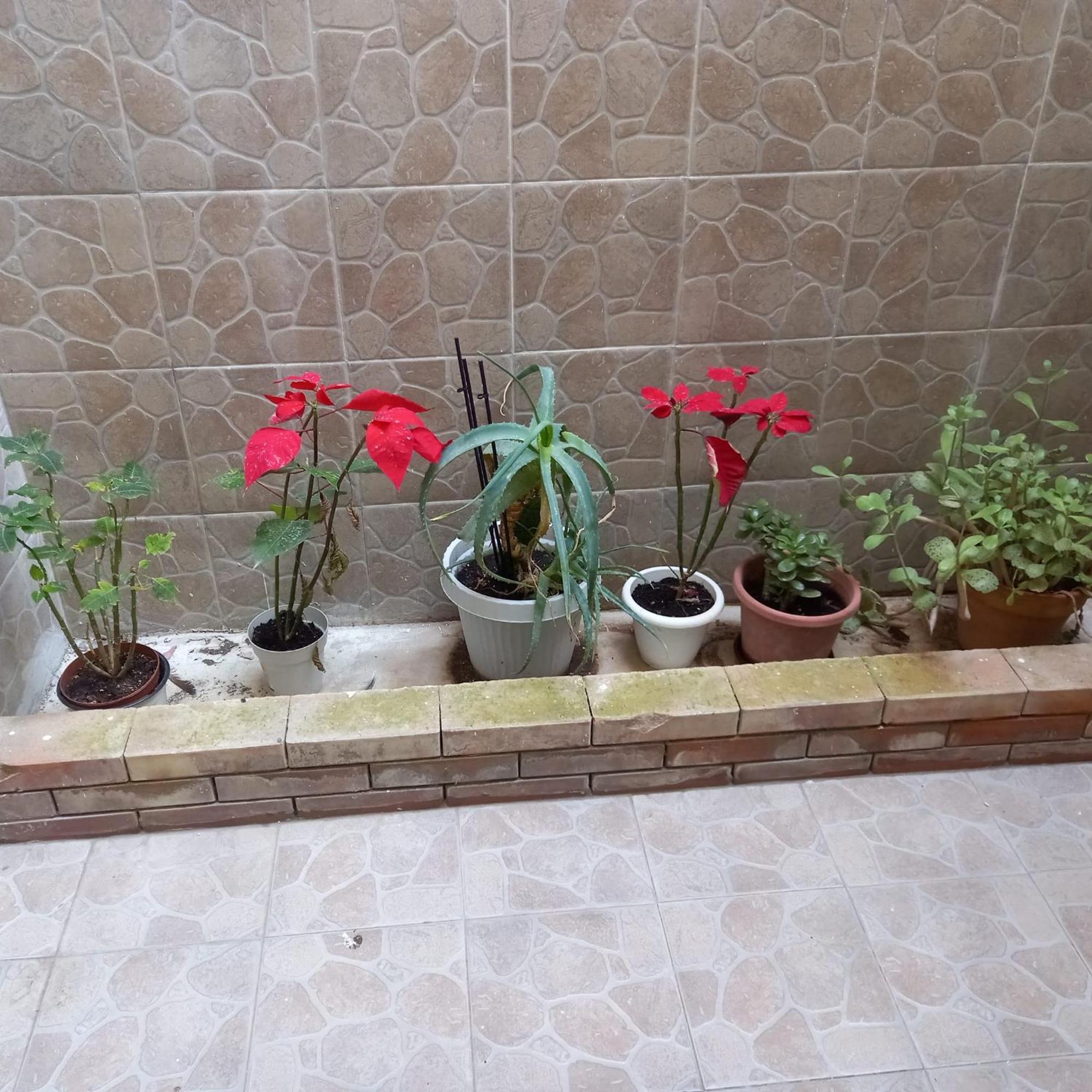 A Casa Di Lori Daire Palermo Dış mekan fotoğraf
